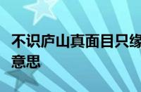 不识庐山真面目只缘身在此山中的意思指什么意思