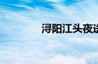 浔阳江头夜送客指什么意思