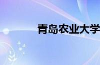 青岛农业大学海都学院怎么样