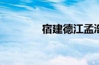 宿建德江孟浩然指什么意思