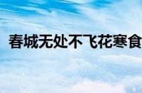 春城无处不飞花寒食东风御柳斜指什么意思