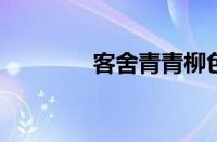 客舍青青柳色新指什么意思