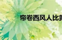 帘卷西风人比黄花瘦指什么意思