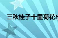 三秋桂子十里荷花出自哪首词指什么意思