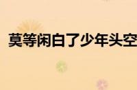 莫等闲白了少年头空悲切的意思指什么意思