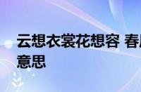 云想衣裳花想容 春风拂槛露华浓全诗指什么意思