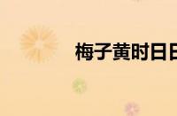 梅子黄时日日晴指什么意思