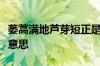 蒌蒿满地芦芽短正是河豚欲上时的意思指什么意思