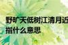 野旷天低树江清月近人出自唐代诗人孟浩然的指什么意思