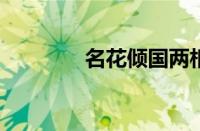 名花倾国两相欢指什么意思