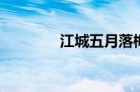 江城五月落梅花指什么意思