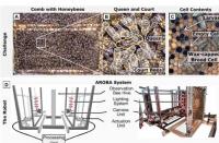 先进的机器人系统可全天候监测蜜蜂行为