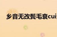 乡音无改鬓毛衰cui还是shuai指什么意思