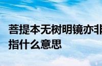 菩提本无树明镜亦非台本来无一物何处惹尘埃指什么意思