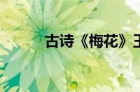 古诗《梅花》王安石指什么意思