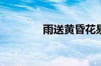 雨送黄昏花易落指什么意思