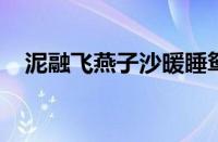 泥融飞燕子沙暖睡鸳鸯的意思指什么意思