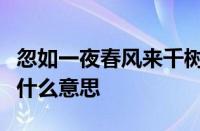 忽如一夜春风来千树万树梨花开是什么季节指什么意思