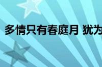 多情只有春庭月 犹为离人照落花指什么意思