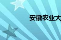 安徽农业大学就业信息网