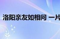 洛阳亲友如相问 一片冰心在玉壶指什么意思