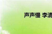 声声慢 李清照指什么意思