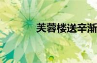 芙蓉楼送辛渐古诗指什么意思