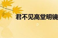 君不见高堂明镜悲白发指什么意思