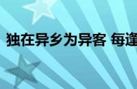 独在异乡为异客 每逢佳节倍思亲指什么意思