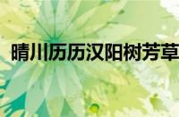 晴川历历汉阳树芳草萋萋鹦鹉洲指什么意思