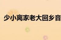 少小离家老大回乡音无改鬓毛衰指什么意思