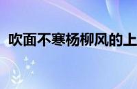 吹面不寒杨柳风的上一句是什么指什么意思