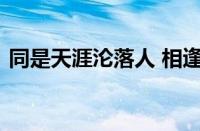 同是天涯沦落人 相逢何必曾相识指什么意思