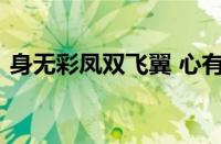 身无彩凤双飞翼 心有灵犀一点通指什么意思