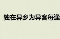 独在异乡为异客每逢佳节倍思亲指什么意思