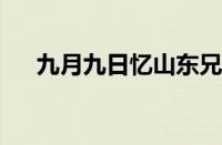 九月九日忆山东兄弟的意思指什么意思