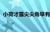 小荷才露尖尖角早有蜻蜓立上头指什么意思