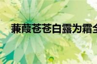 蒹葭苍苍白露为霜全诗及译文指什么意思