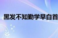 黑发不知勤学早白首方悔读书迟指什么意思