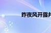 昨夜风开露井桃指什么意思