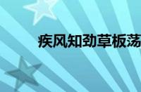 疾风知劲草板荡识诚臣指什么意思