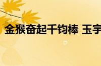 金猴奋起千钧棒 玉宇澄清万里埃指什么意思