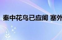 秦中花鸟已应阑 塞外风沙犹自寒指什么意思