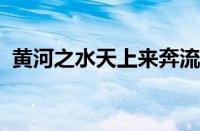 黄河之水天上来奔流到海不复回指什么意思