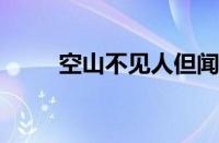 空山不见人但闻人语响指什么意思