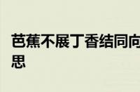 芭蕉不展丁香结同向春风各自愁句意指什么意思