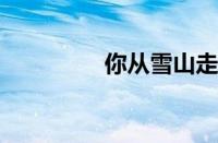 你从雪山走来指什么意思