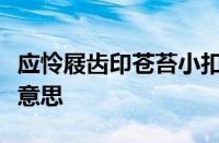 应怜屐齿印苍苔小扣柴扉久不开的意思指什么意思