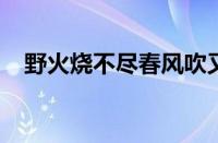 野火烧不尽春风吹又生的意思指什么意思