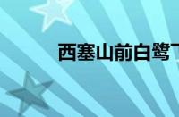 西塞山前白鹭飞全诗指什么意思